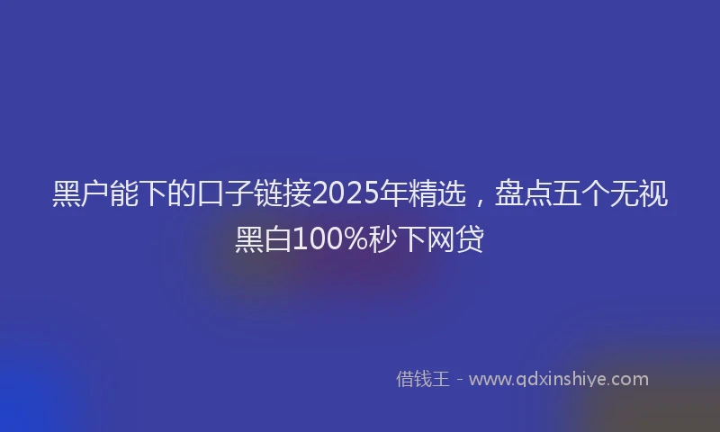 黑户能下的口子链接2025年精选，盘点五个无视黑白100%秒下网贷