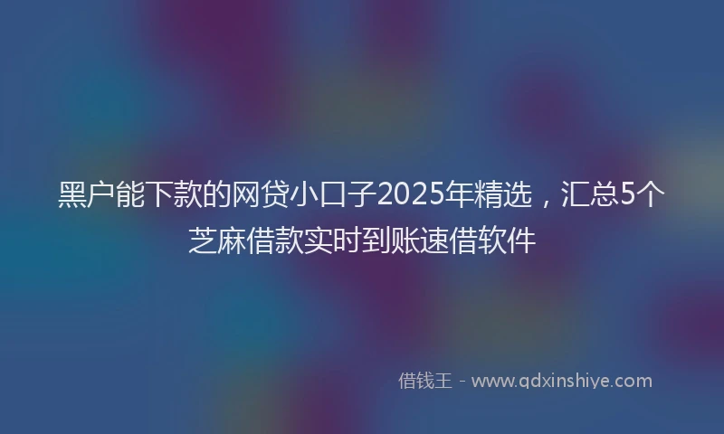 黑户能下款的网贷小口子2025年精选，汇总5个芝麻借款实时到账速借软件