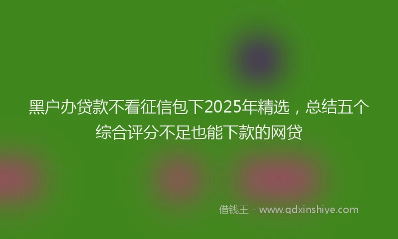 黑户办贷款不看征信包下2025年精选，总结五个综合评分不足也能下款的网贷
