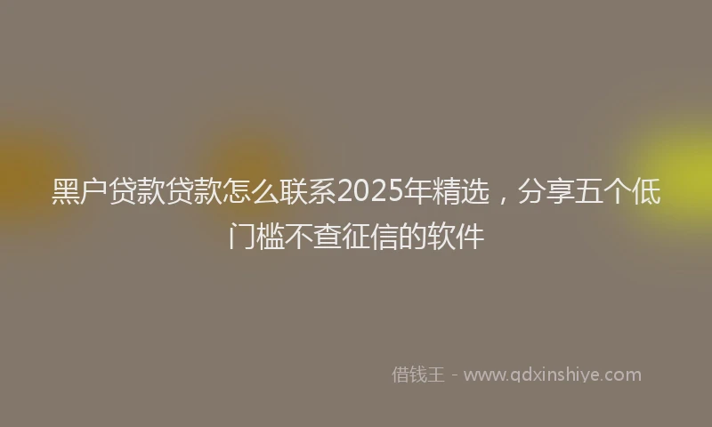 黑户贷款贷款怎么联系2025年精选，分享五个低门槛不查征信的软件