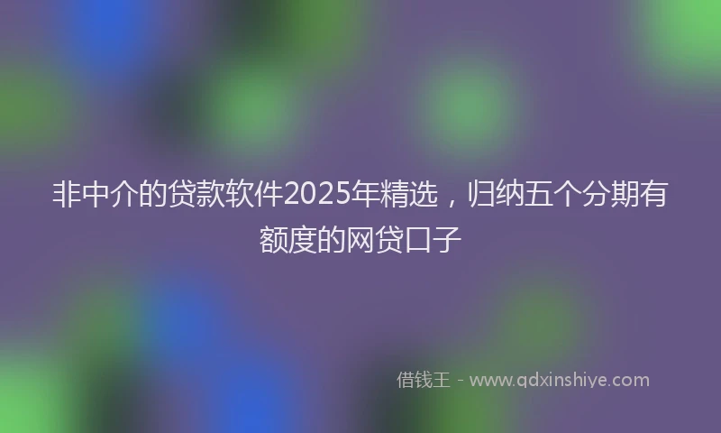 非中介的贷款软件2025年精选，归纳五个分期有额度的网贷口子