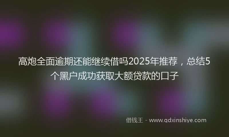 高炮全面逾期还能继续借吗2025年推荐，总结5个黑户成功获取大额贷款的口子