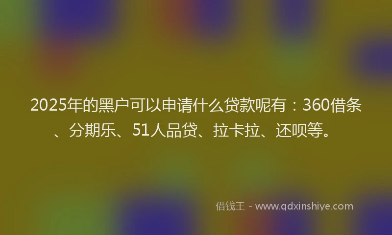 2025年的黑户可以申请什么贷款呢有：360借条、分期乐、51人品贷、拉卡拉、还呗等。