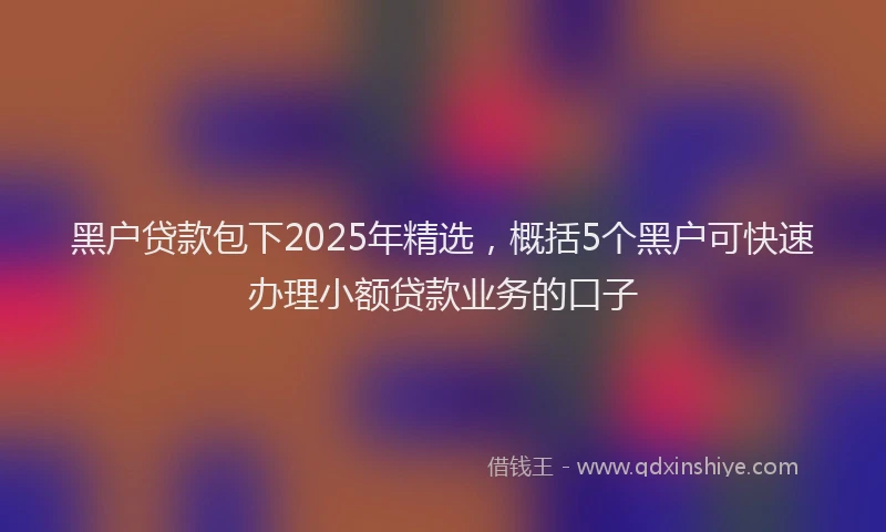黑户贷款包下2025年精选，概括5个黑户可快速办理小额贷款业务的口子