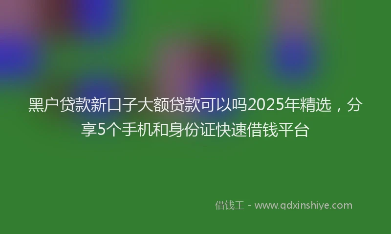 黑户贷款新口子大额贷款可以吗2025年精选，分享5个手机和身份证快速借钱平台