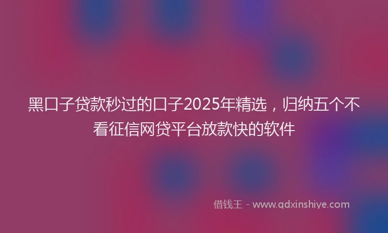 黑口子贷款秒过的口子2025年精选，归纳五个不看征信网贷平台放款快的软件