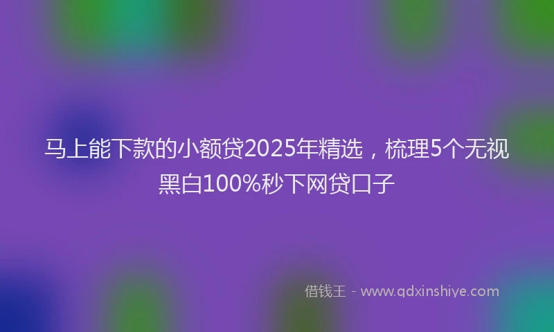 马上能下款的小额贷2025年精选，梳理5个无视黑白100%秒下网贷口子