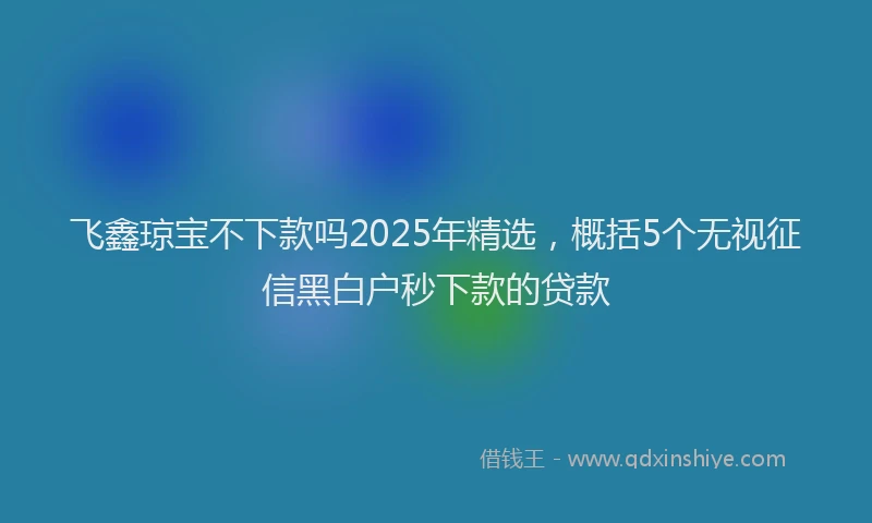飞鑫琼宝不下款吗2025年精选，概括5个无视征信黑白户秒下款的贷款