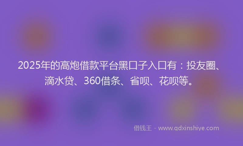 2025年的高炮借款平台黑口子入口有：投友圈、滴水贷、360借条、省呗、花呗等。