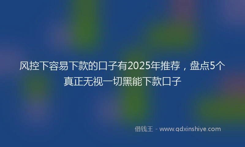 风控下容易下款的口子有2025年推荐，盘点5个真正无视一切黑能下款口子