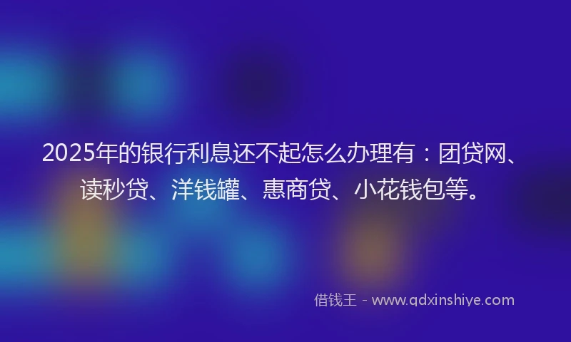 2025年的银行利息还不起怎么办理有：团贷网、读秒贷、洋钱罐、惠商贷、小花钱包等。