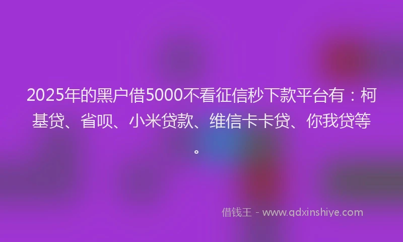 2025年的黑户借5000不看征信秒下款平台有：柯基贷、省呗、小米贷款、维信卡卡贷、你我贷等。