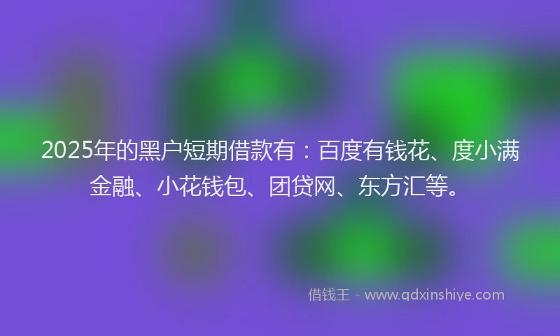 2025年的黑户短期借款有：百度有钱花、度小满金融、小花钱包、团贷网、东方汇等。