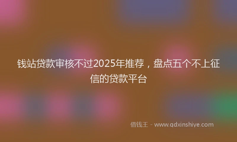 钱站贷款审核不过2025年推荐，盘点五个不上征信的贷款平台