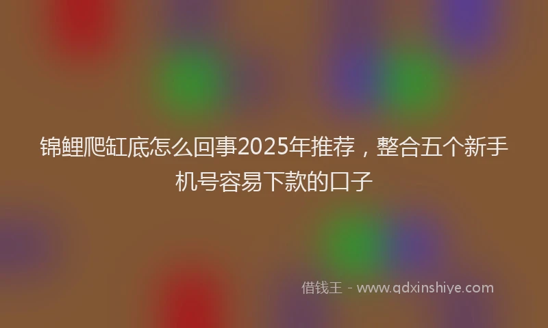 锦鲤爬缸底怎么回事2025年推荐，整合五个新手机号容易下款的口子