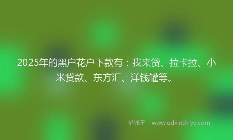 2025年的黑户花户下款有：我来贷、拉卡拉、小米贷款、东方汇、洋钱罐等。