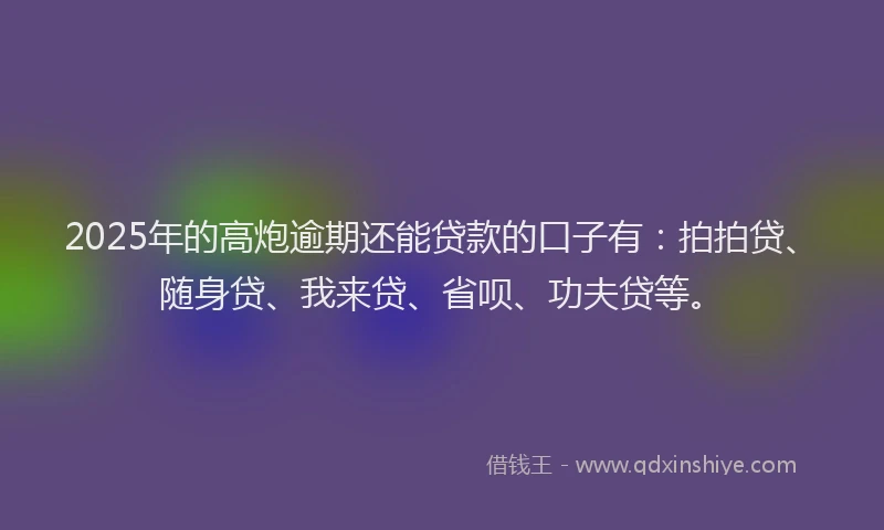 2025年的高炮逾期还能贷款的口子有：拍拍贷、随身贷、我来贷、省呗、功夫贷等。