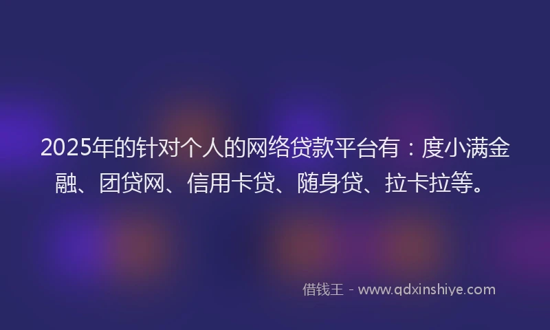 2025年的针对个人的网络贷款平台有：度小满金融、团贷网、信用卡贷、随身贷、拉卡拉等。