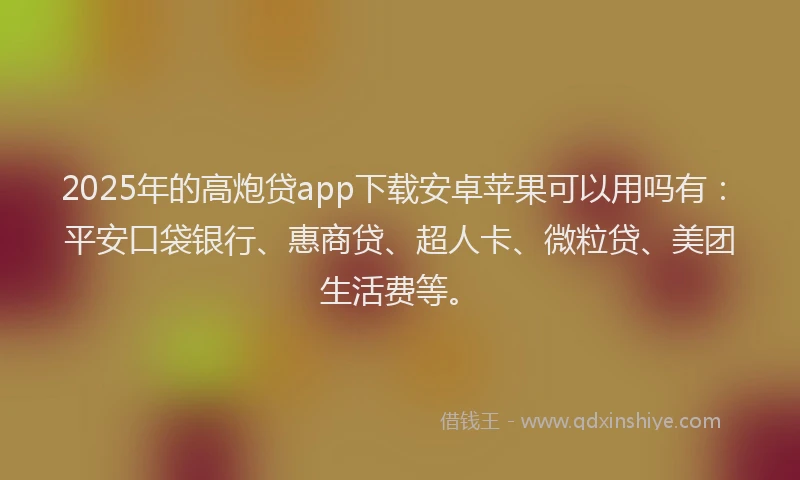 2025年的高炮贷app下载安卓苹果可以用吗有：平安口袋银行、惠商贷、超人卡、微粒贷、美团生活费等。