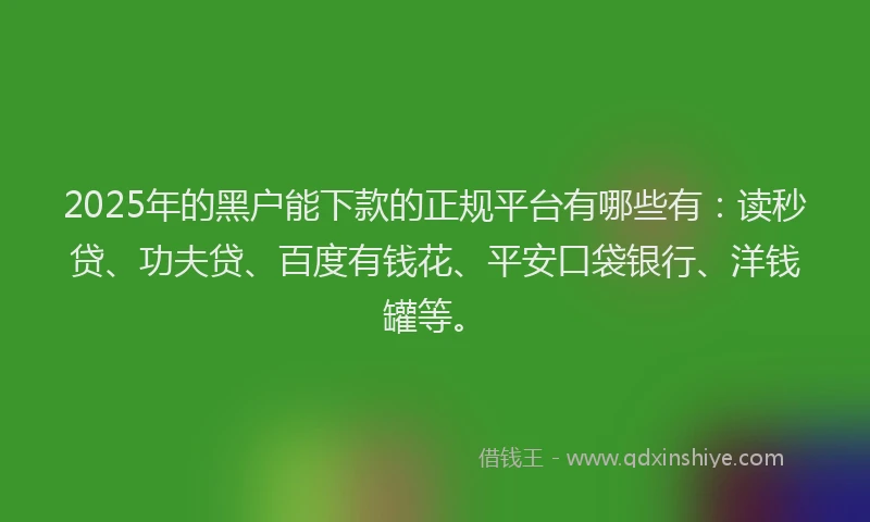 2025年的黑户能下款的正规平台有哪些有：读秒贷、功夫贷、百度有钱花、平安口袋银行、洋钱罐等。