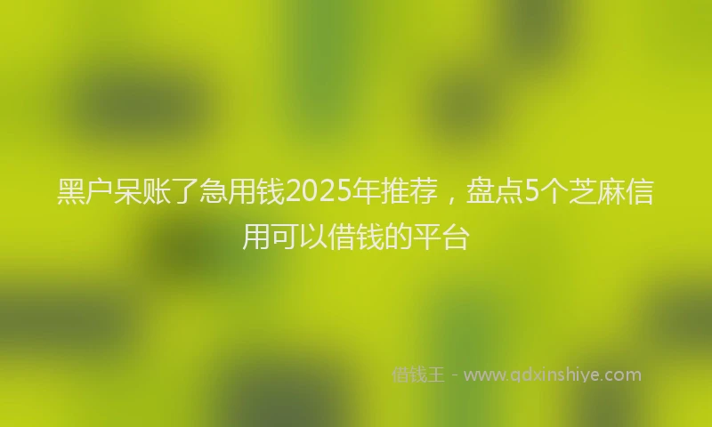 黑户呆账了急用钱2025年推荐，盘点5个芝麻信用可以借钱的平台