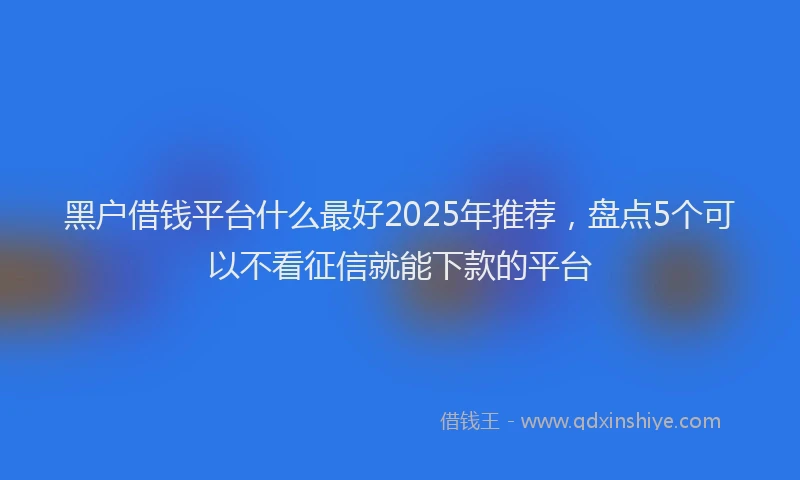 黑户借钱平台什么最好2025年推荐，盘点5个可以不看征信就能下款的平台