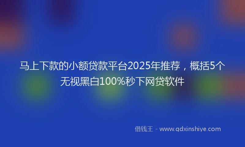 马上下款的小额贷款平台2025年推荐，概括5个无视黑白100%秒下网贷软件
