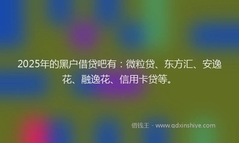 2025年的黑户借贷吧有：微粒贷、东方汇、安逸花、融逸花、信用卡贷等。