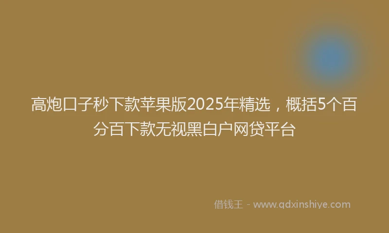 高炮口子秒下款苹果版2025年精选，概括5个百分百下款无视黑白户网贷平台
