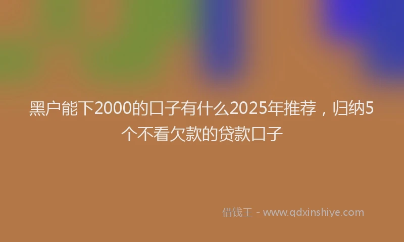 黑户能下2000的口子有什么2025年推荐，归纳5个不看欠款的贷款口子