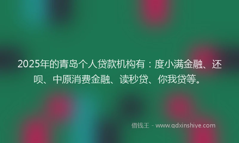 2025年的青岛个人贷款机构有：度小满金融、还呗、中原消费金融、读秒贷、你我贷等。
