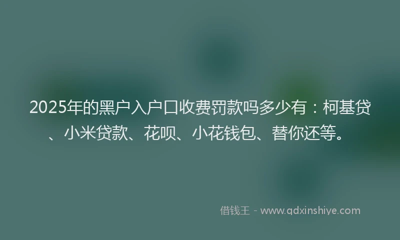 2025年的黑户入户口收费罚款吗多少有：柯基贷、小米贷款、花呗、小花钱包、替你还等。