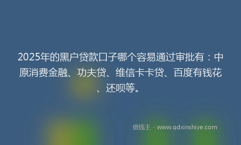 2025年的黑户贷款口子哪个容易通过审批有：中原消费金融、功夫贷、维信卡卡贷、百度有钱花、还呗等。