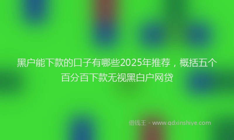 黑户能下款的口子有哪些2025年推荐，概括五个百分百下款无视黑白户网贷
