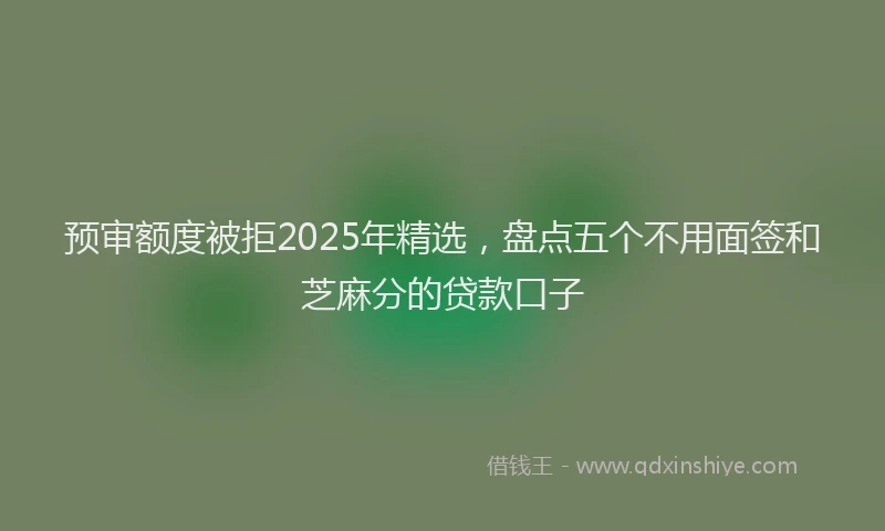 预审额度被拒2025年精选，盘点五个不用面签和芝麻分的贷款口子
