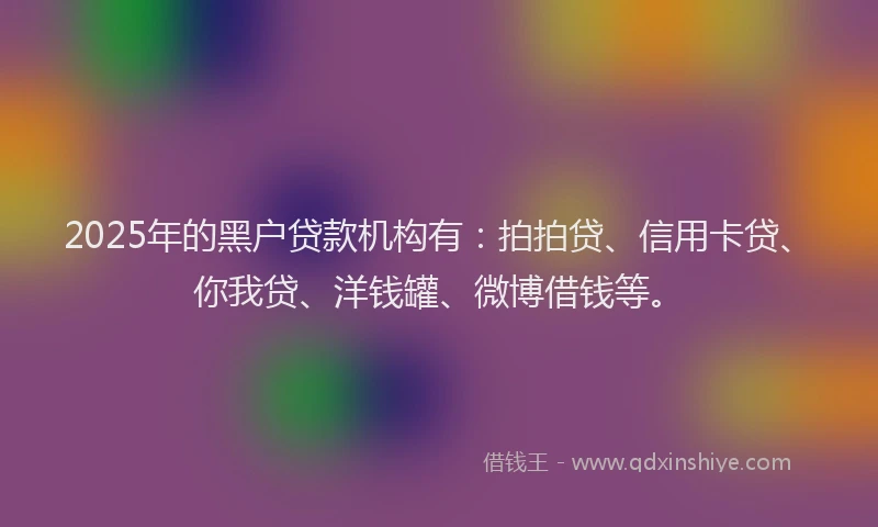 2025年的黑户贷款机构有：拍拍贷、信用卡贷、你我贷、洋钱罐、微博借钱等。