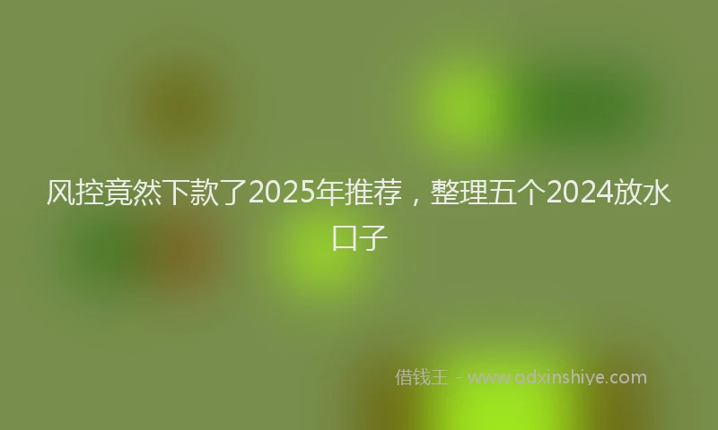 风控竟然下款了2025年推荐,整理五个2024放水口子