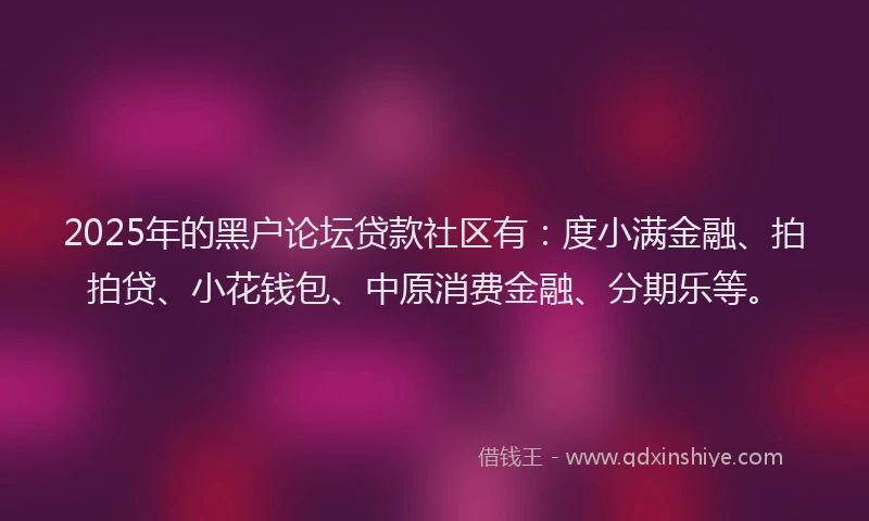2025年的黑户论坛贷款社区有：度小满金融、拍拍贷、小花钱包、中原消费金融、分期乐等。