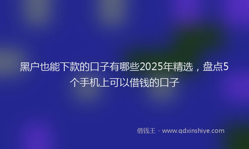 黑户也能下款的口子有哪些2025年精选，盘点5个手机上可以借钱的口子