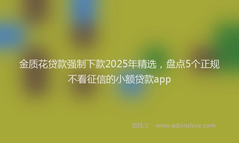金质花贷款强制下款2025年精选，盘点5个正规不看征信的小额贷款app