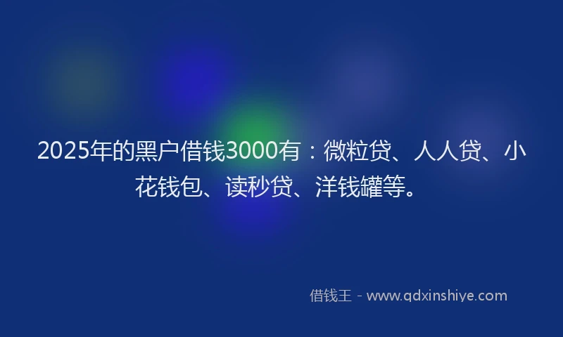 2025年的黑户借钱3000有：微粒贷、人人贷、小花钱包、读秒贷、洋钱罐等。