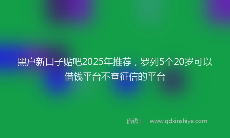 黑户新口子贴吧2025年推荐，罗列5个20岁可以借钱平台不查征信的平台
