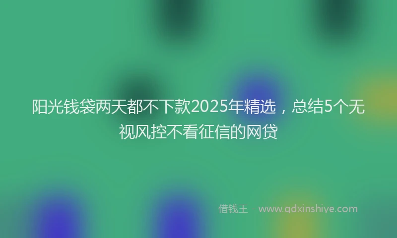 阳光钱袋两天都不下款2025年精选，总结5个无视风控不看征信的网贷