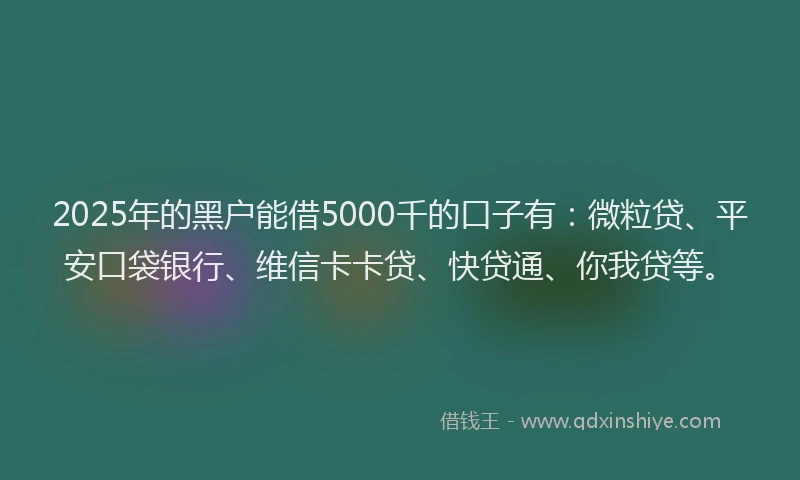 2025年的黑户能借5000千的口子有：微粒贷、平安口袋银行、维信卡卡贷、快贷通、你我贷等。