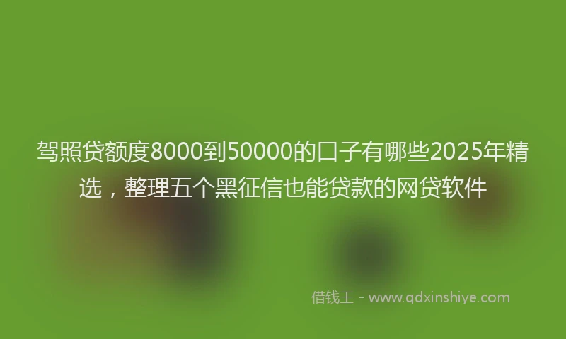 驾照贷额度8000到50000的口子有哪些2025年精选，整理五个黑征信也能贷款的网贷软件