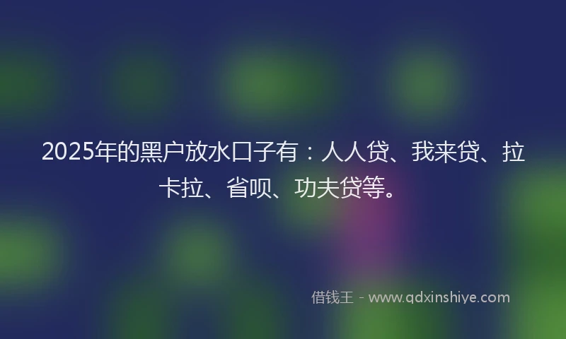 2025年的黑户放水口子有：人人贷、我来贷、拉卡拉、省呗、功夫贷等。