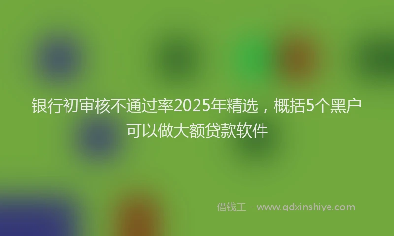 银行初审核不通过率2025年精选，概括5个黑户可以做大额贷款软件