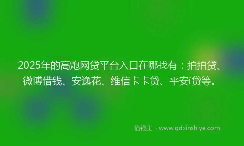 2025年的高炮网贷平台入口在哪找有：拍拍贷、微博借钱、安逸花、维信卡卡贷、平安i贷等。
