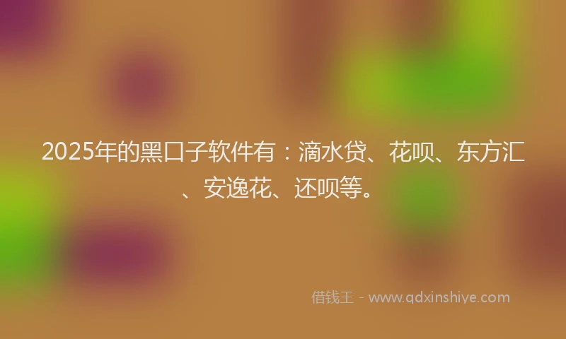 2025年的黑口子软件有：滴水贷、花呗、东方汇、安逸花、还呗等。