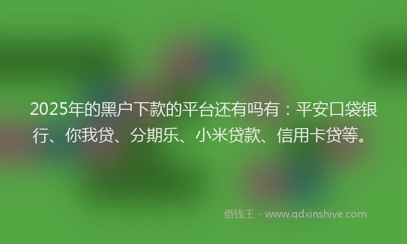 2025年的黑户下款的平台还有吗有：平安口袋银行、你我贷、分期乐、小米贷款、信用卡贷等。